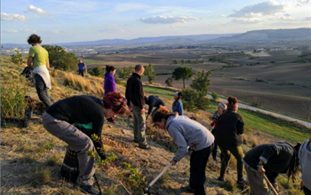 Agroecologia: una rete di buone pratiche connette il mondo